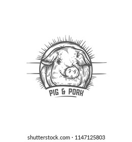 Sketch of pig. Engraved pig and pork.