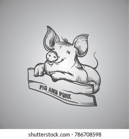 sketch of pig. engraved pig and pork.