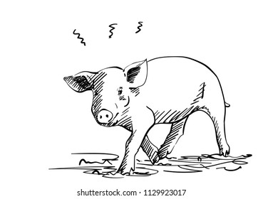 Sketch of pig, Hand drawn vector illustration with hatched shades