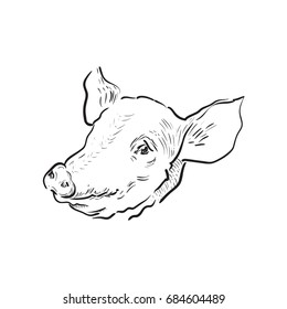 Sketch pig icon