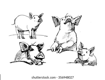 Sketch of pig.
Pork. different poses pigs. pigs engraved image. Funny pig. a set of pigs. sketch ink pigs.