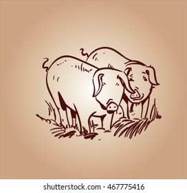Sketch of pig.
Pork. different poses pigs. pigs engraved image. Funny pig. a set of pigs. sketch ink pigs.