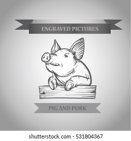 Sketch of pig. Pork.Engraved boar.
Pork. different poses pigs. pigs engraved image. Funny pig.  sketch ink pigs.Ofort of pig. Logo or label with pig. Etching boar.