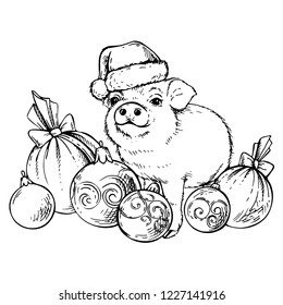 Sketch pig in Santa's hat with Christmas balls. New Year 2019. Chinese year of the pig. 