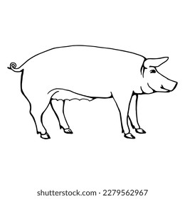 Sketch of a pig, side view. Line drawing, line art. Vector illustration