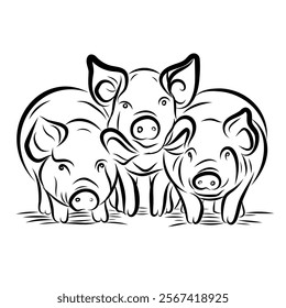 Sketch of a pig. Various poses of a sitting, standing piglet. Vintage illustration. Element for label, packaging and postcard design.