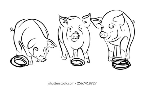 Sketch of a pig. Various poses of a sitting, standing piglet. Vintage illustration. Element for label, packaging and postcard design.