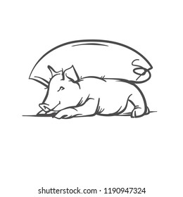 sketch of pig.1