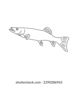 Sketch of the pike fish. Vector illustration. 