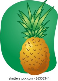 Skizze von Ananas. Illustration handgezeichneter Linien