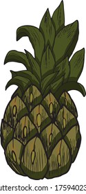 Sketch of pineapple. Hand drawn vector illustration. Fruit collection.