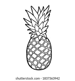 Sketch of pineapple. Pineapple icon. Vector badge fruit in the line style for brochures, banner, restaurant menu and market