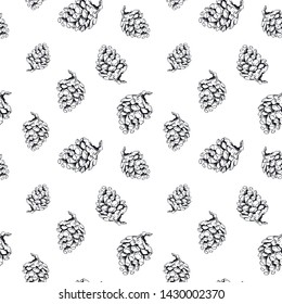 Sketch pinecone pattern. Hand drawn seamless background with sketch style pinecones. Monochrome vector backdrop.