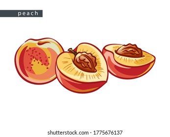 sketch pink peaches: small whole fruit and two halves