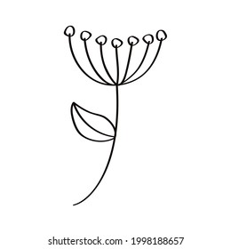 sketch pistils flowers set icons