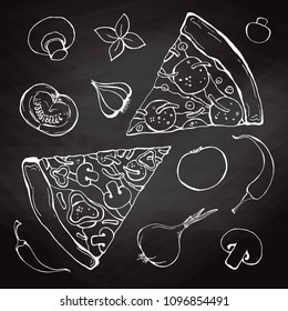 Sketch of pizza with different ingredients. Vector illustration