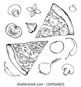 Sketch of pizza with different ingredients. Vector illustration