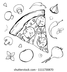 Sketch of pizza with different ingredients. Vector illustration