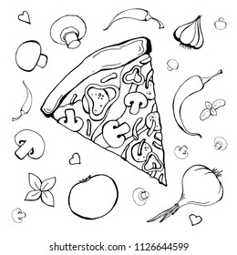 Sketch of pizza with different ingredients. Vector illustration