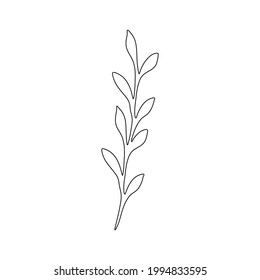 Sketch of plant. Vector element for design.
