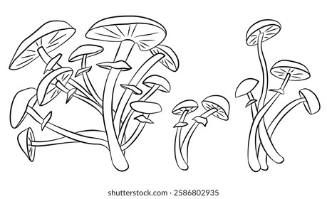 Sketch of poisonous mushrooms. Natural ingredients, isolated vegetarian food, gourmet forest elements vector set. Sketch mushroom raw, champignon edible illustration