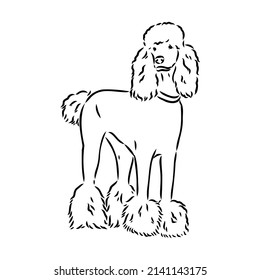 2,072 Poodle outline Images, Stock Photos & Vectors | Shutterstock