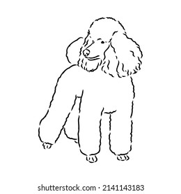 2,072 Poodle outline Images, Stock Photos & Vectors | Shutterstock