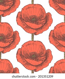 Sketch poppy, vector vintage seamless pattern eps 10