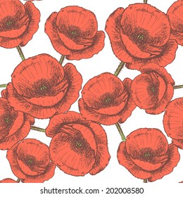 Sketch poppy, vector vintage seamless pattern eps 10