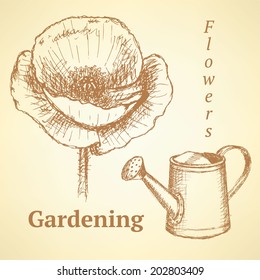 Sketch poppy and watering can, vector vintage background