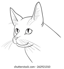 Sketch portrait of a cat on a white background.