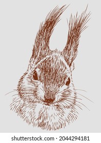Sketch portrait of red fluffy cute forest squirrel