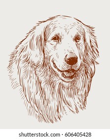 sketch portrait of a retriever