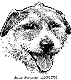 Sketch portrait of a small dog