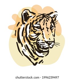 Sketch portrait of a tiger. Hand drawn color illustration. Wild animal drawing.