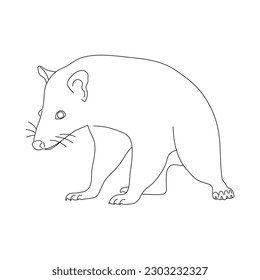 Sketch of Possum drawn by hand. Vector hand drawn illustration.