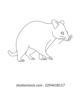 Sketch of Possum. Hand drawn vector illustration.