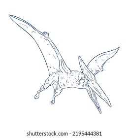 sketch of pteranodon dinosaur vector