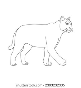 Sketch of Puma drawn by hand. Vector hand drawn illustration.