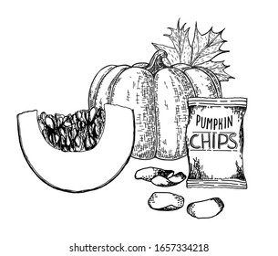 Sketch pumpkin chips. Organic chips. Vector set vegetarian food. Vegetarian chips. Healthy eating. The trend of our time. Vegan snacks, pumpkin crisp snack for health isolated