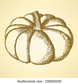 Sketch pumpkin, Halloween vector background 