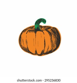 Sketch of pumpkin. Original vector illustration on white background.