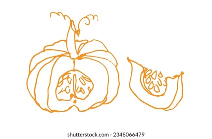 A sketch of a pumpkin and of a pumpkin slicein doodle style on white paper. Ink sketch vector illustration. Hand-drawn silhouette with of a pumpkins. A simple  representation of autumn's symbol. 