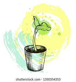Sketch pumpkin sprout on the background of bright spots.