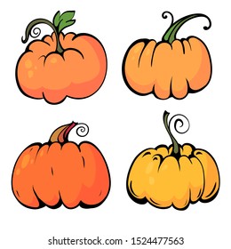 sketch pumpkin sketch, vector illustration. Pumpkins on a white backgroun