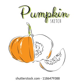 Sketch pumpkins. Vector paint hand drawn composition with squash in cartoon style. Isolated on white background.