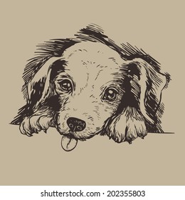 sketch puppy