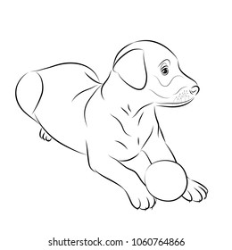 Sketch of a puppy with a  ball. Vector illustration.