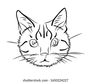  Sketch of a purebred cat