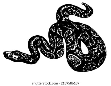 Esbozar pithon gran serpiente. Constrictor de Boa aislado en blanco. La serpiente del tatuaje. Ilustración con tinta de mano. Ilustración vectorial aislada. Tatuaje de la vieja escuela estilo Tatuaje Tinta. 